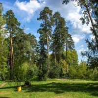 Вдоль околицы. :: Михаил "Skipper"