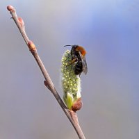 Упоение :: Галина Кан Упоение :: Галина Кан