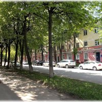 Солнечным днём :: Alisia La DEMA