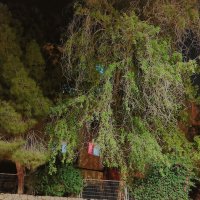 13  ОПЕН (37) :: OPEN WAYS ALL