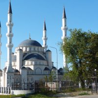 Симферополь,соборная  мечеть :: Валентин Семчишин