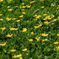 *** :: Павленко Михаил 