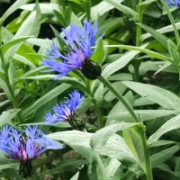 ,,, :: Сергей Тимоновский