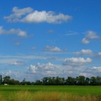 . :: Александр Хоменко