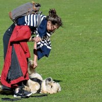 Вставай, лентяй! :: Alexandеr P