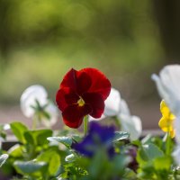 ___ :: Yuriy V ___ :: Yuriy V