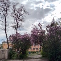 *** :: Валентина Береснева