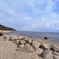 Берег Финского залива... :: Мария Васильева Берег Финского залива... :: Мария Васильева