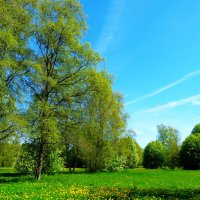 Солнечный день в парке около моря :: Aida10 