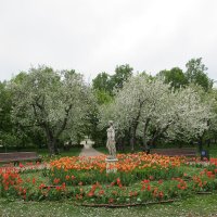 Май в Коломенском :: Маера Урусова Май в Коломенском :: Маера Урусова