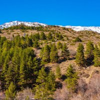 пейзаж :: Дмитрий Лупандин