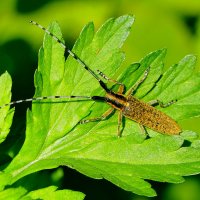 из вчерашней съемки 1 :: Александр Прокудин