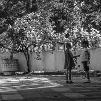 Детский мир :: Наталья Rosenwasser