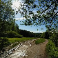 Опять весна на белом свете :: Андрей Лукьянов