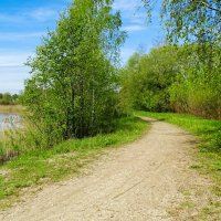 Весна в деревне. :: Милешкин Владимир Алексеевич 