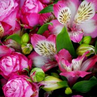 Прекрасный букет)) :: Татьяна Евдокимова