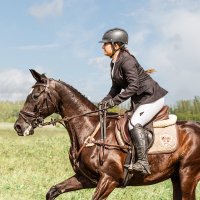 Конкур :: SanSan 