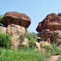 Каменные грибы :: Сергей М 