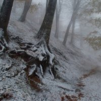 Метель...... :: Юрий Цыплятников