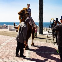 Фото у моря :: Анатолий Чикчирный