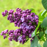 Весенняя Москва. МГУ. :: Наташа *****