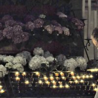 Память :: Галина Шеина-Мюльдорфер