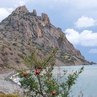 Гранатовая бухта :: ИРЭН@ . Гранатовая бухта :: ИРЭН@ .