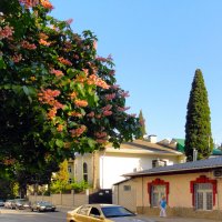 Ялта,ул Боткинская :: Ольга 