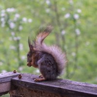 ___ :: Yuriy V ___ :: Yuriy V