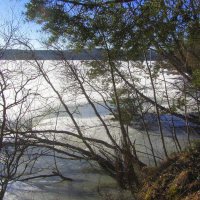 ** :: Галина Полина