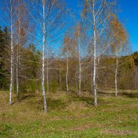 *** :: Дмитрий Лупандин *** :: Дмитрий Лупандин