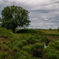 Утро на Клязьме 4 :: Андрей Дворников