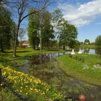 весна :: ИННА ПОРОХОВА