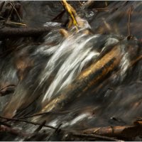 Бобровый водосброс :: Валентин Котляров