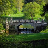 В Павловском парке :: Магомед .