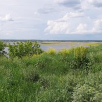 Свияжские просторы :: Ольга 