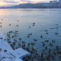 Утиная пристань :: Василий Утиная пристань :: Василий