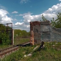 *** :: Валентина Береснева
