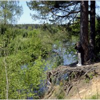 Весна пришла... :: Aleksandr Gal