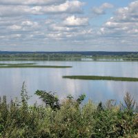 Река Щука :: Александр Ильчевский 