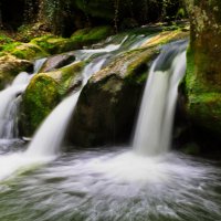 *** :: Witalij Loewin *** :: Witalij Loewin