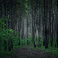 * :: Александр Иванов