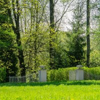 Весенний Павловск :: Ирина Соловьёва