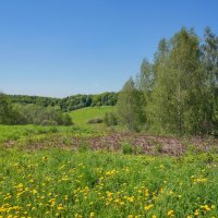 Май в Царицыно... :: Владимир Жданов