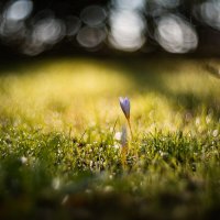 Триумф осенней жизни. :: Анатолий Щербак