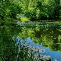 *** :: Наталья Rosenwasser