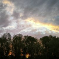 Майский закат в Подмосковье :: Елена 