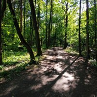 И снова тепло :: Андрей Лукьянов И снова тепло :: Андрей Лукьянов