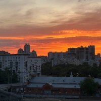 Утро :: Вера (makivera)