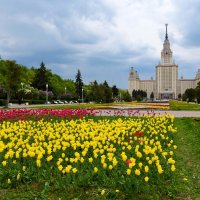 Весенняя Москва. Воробьевы горы. :: Наташа *****